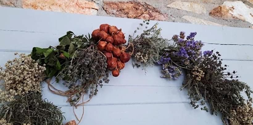 Amfitriti Serifos Λιβάδι Εξωτερικό φωτογραφία